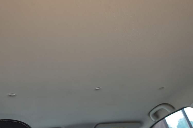 Used NETA N01 2020 430e Headliner