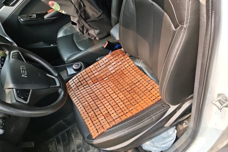 Used NETA N01 2020 380e Left Front Seat