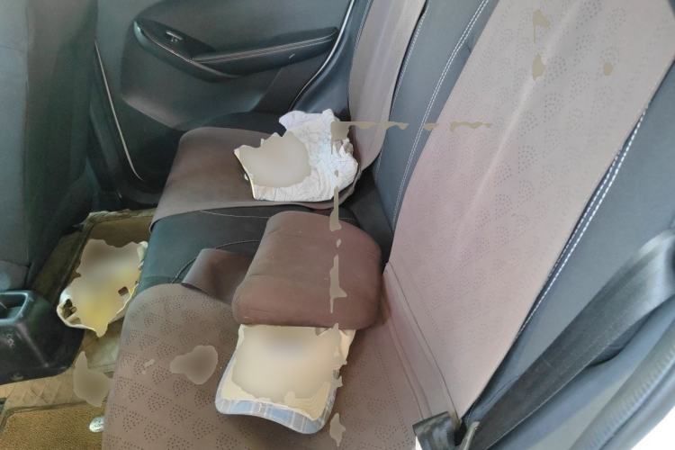 Used NETA N01 2020 380V Left Rear Seat