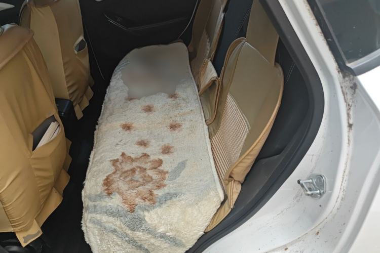 Used NETA N01  Left Rear Seat