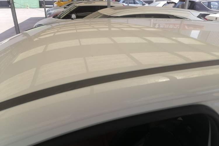 Used NETA N01 2020 430e Roof