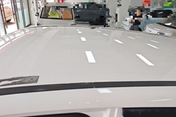 Used NETA N01 2020 430e Roof
