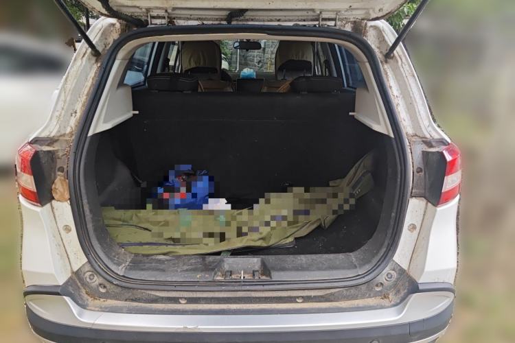 Used NETA N01  Trunk