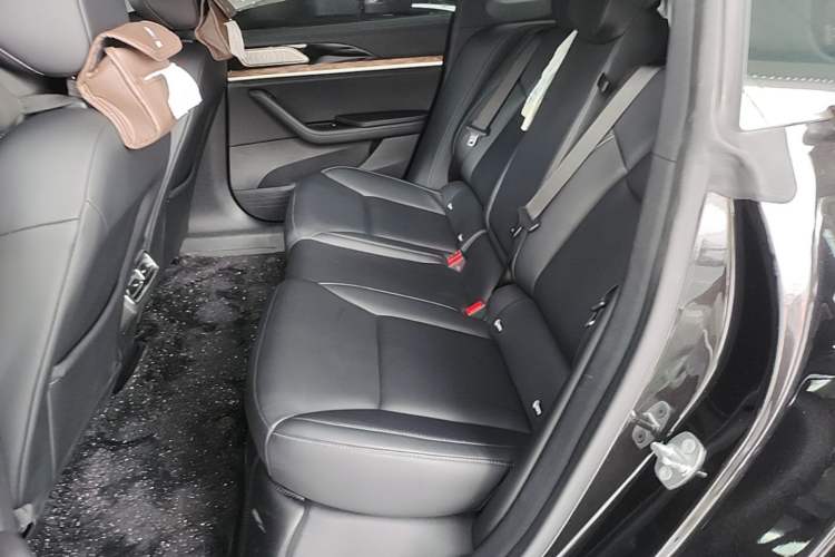 Used NETA S 2022 Extended-Range Version 1160 km Range Rear-Wheel-Drive Compact Edition Left Rear Seat