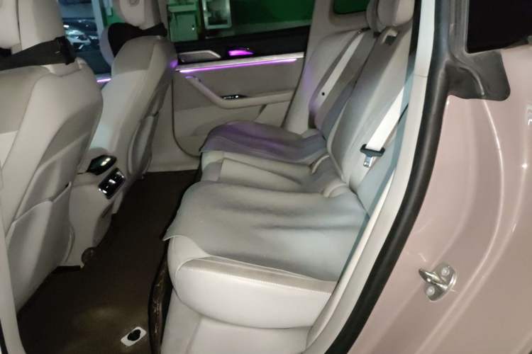 Used NETA S 2022 All-Electric 650 km Four-Wheel Drive Premium Version Left Rear Seat