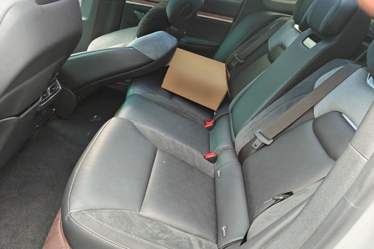 Used NETA S 2022 All-Electric 650 km Four-Wheel Drive Premium Version Left Rear Seat