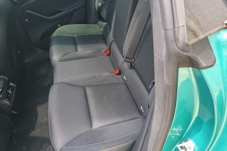 Used NETA S 2022 All-Electric 650 km Four-Wheel Drive Flagship Edition Left Rear Seat