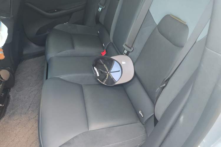 Used NETA S 2022 All-Electric 650 km Four-Wheel Drive Premium Version Left Rear Seat
