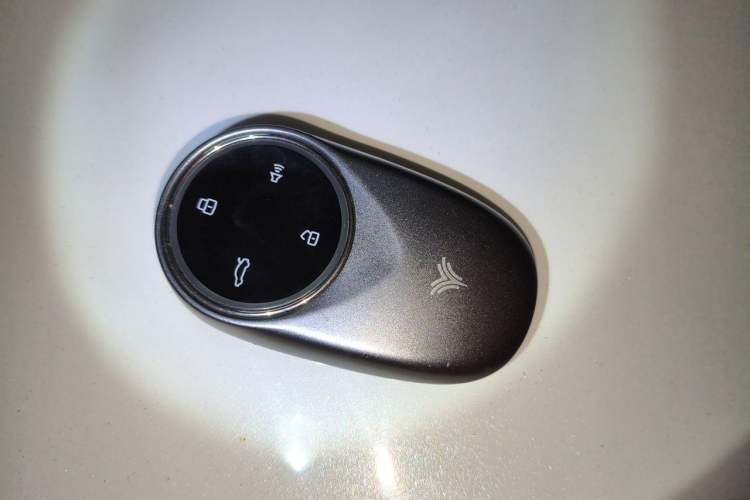 Used NETA S 2022 Extended-Range Version 1160 km Range Rear-Wheel-Drive Compact Edition Vehicle Key