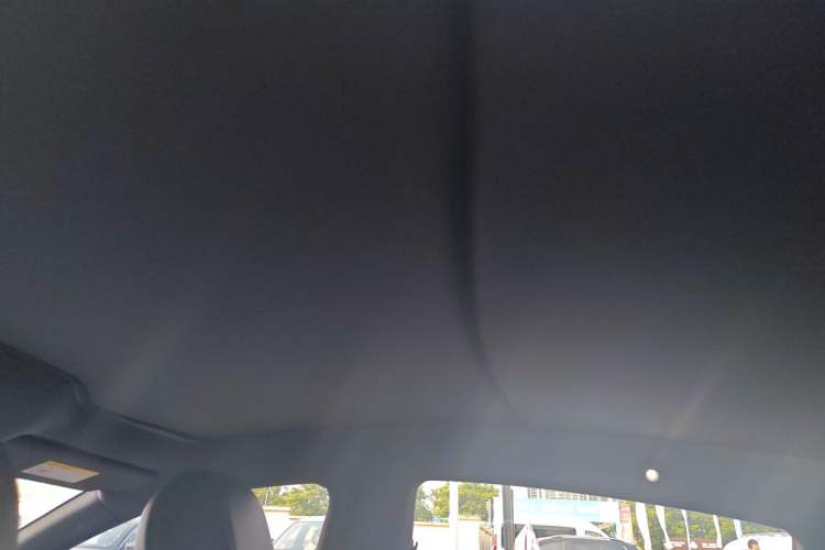 Used NETA S 2023 Pure Electric 520km Rear-Drive Lite Version Headliner
