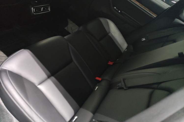 Used NETA S 2023 Pure Electric 520km Rear-Drive Lite Version Left Rear Seat