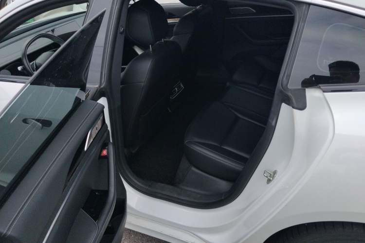 Used NETA S  Left Rear Seat