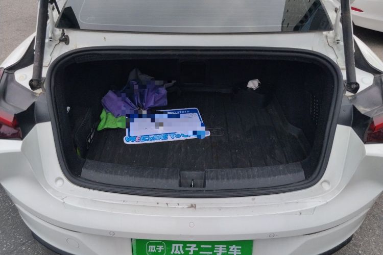 Used NETA S  Trunk