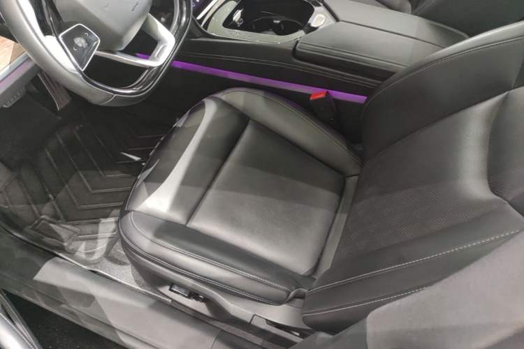 Used NETA S 2024 Range-Extended 1160 Edition Left Front Seat