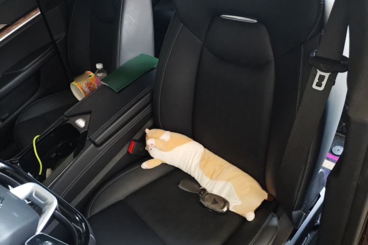 Used NETA S 2024 Extended-Range 1060 Edition Left Front Seat