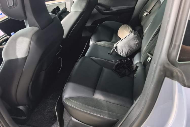 Used NETA S 2024 Extended-Range 1060 Edition Left Rear Seat
