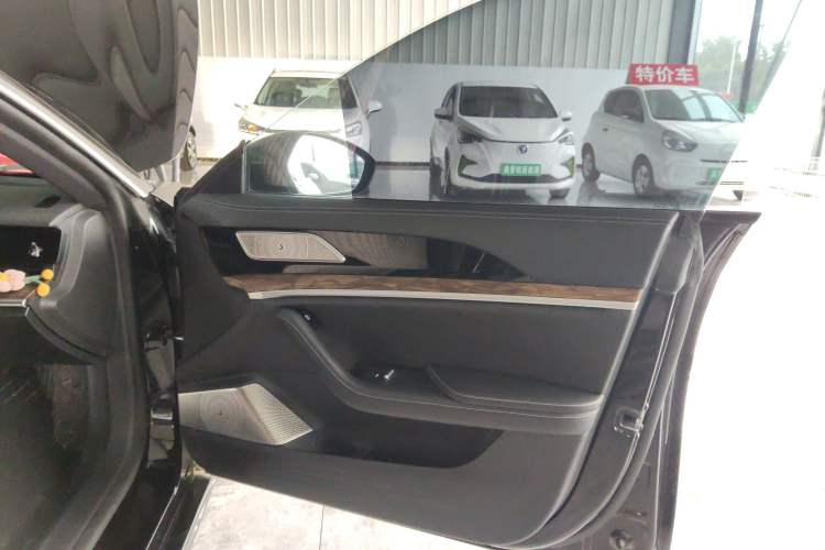 Used NETA S 2024 Range-Extended 1060 Lite Edition Right Front Door Interior