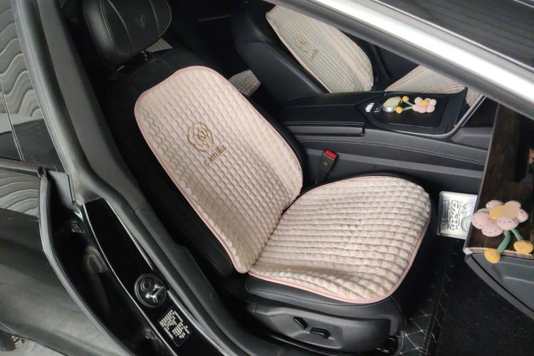 Used NETA S 2024 Range-Extended 1060 Lite Edition Right Front Seat