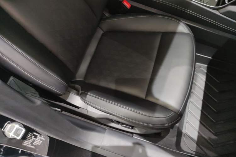 Used NETA S 2024 Range-Extended 1160 Edition Right Front Seat
