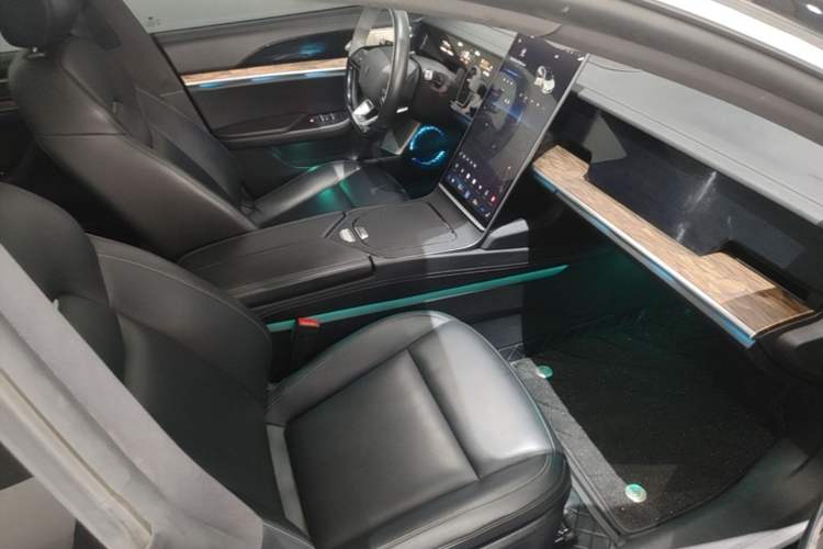 Used NETA S 2024 Range-Extended 1060 Lite Edition Right Front Seat