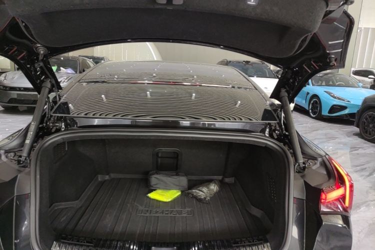 Used NETA S 2024 Range-Extended 1160 Edition Trunk