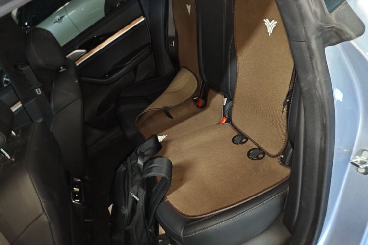 Used NETA S 2024 Extended-Range 1060 Edition Left Rear Seat