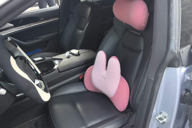 Used NETA S 2024 Range-Extended 1060 Lite Edition Left Front Seat
