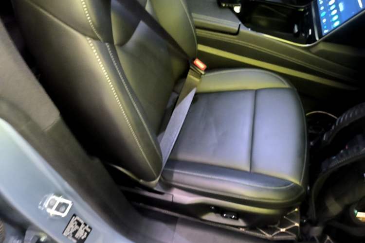 Used NETA S 2024 Range-Extended 1060 Lite Edition Right Front Seat