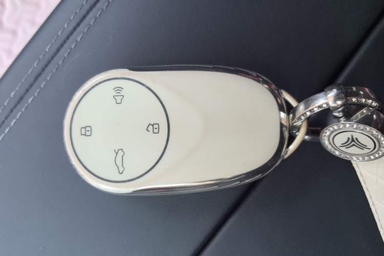 Used NETA S 2024 Pure Electric 520km Rear-Drive Lite Version Vehicle Key