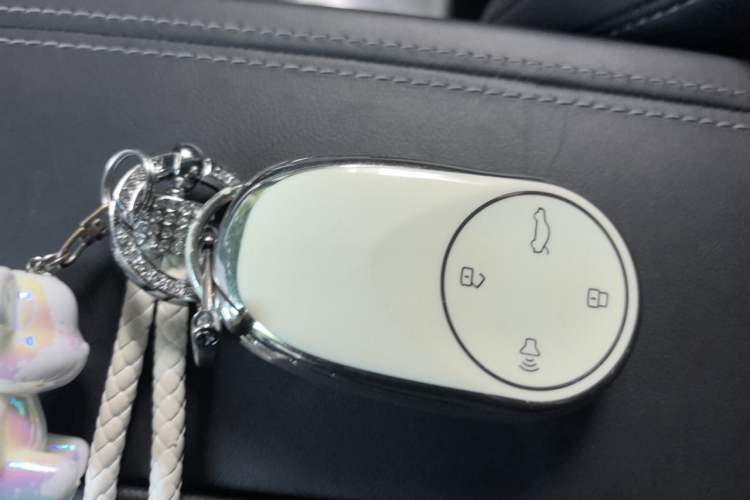 Used NETA S 2024 Range-Extended 1060 Lite Edition Vehicle Key