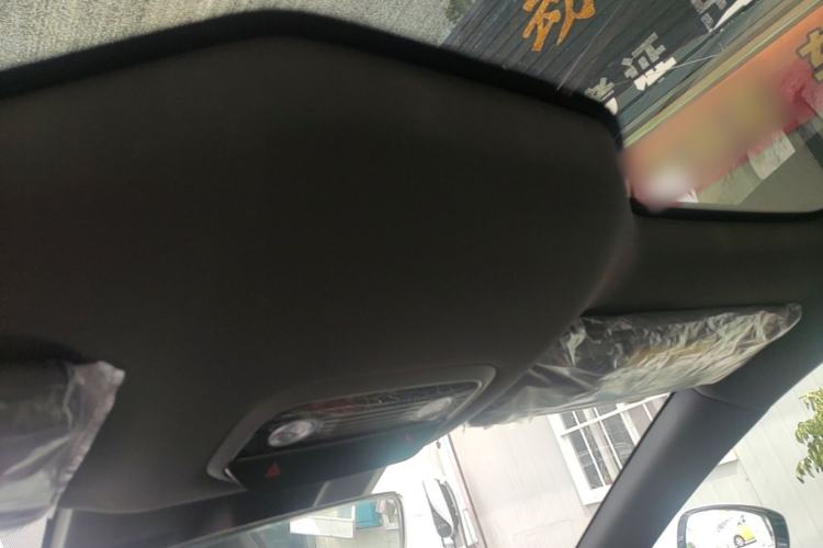 Used NETA S 2024 Pure Electric 520km Rear-Drive Lite Version Headliner