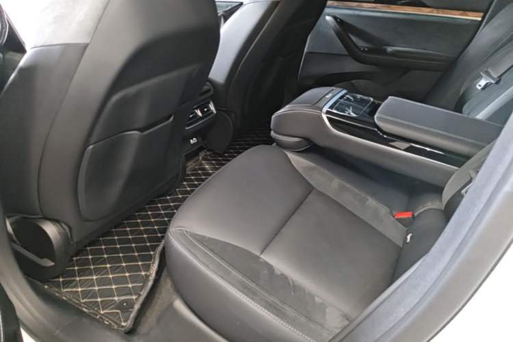 Used NETA S 2024 Range-Extended 1060 Lite Edition Left Rear Seat