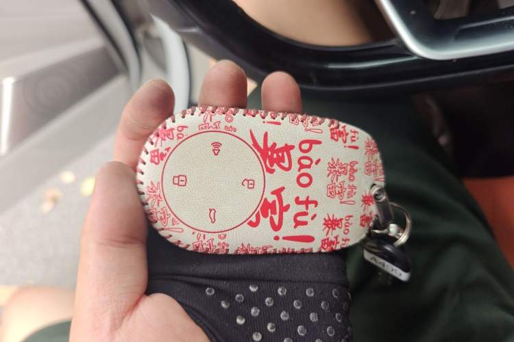 Used NETA S 2024 Extended-Range 1060 Edition Vehicle Key