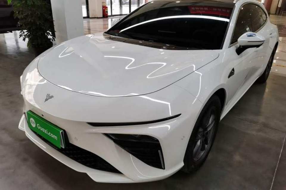 NETA S Shooting Brake 2024