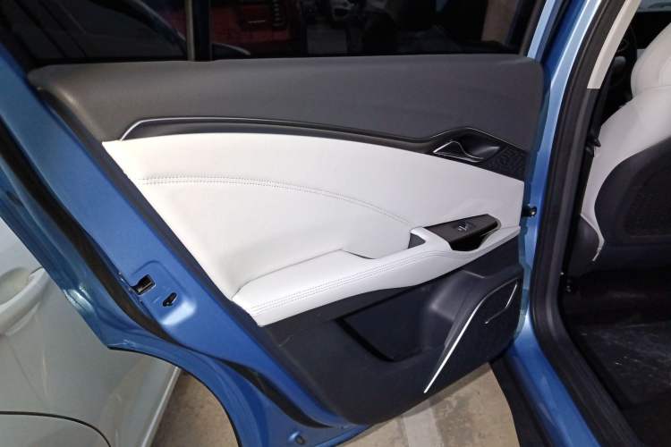 Used NETA U 2020 520 U-Enjoy Left Rear Door Interior