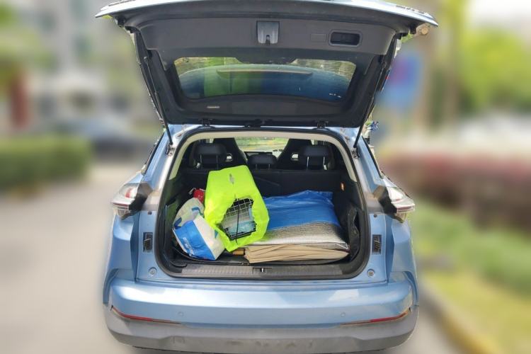 Used NETA U 2020 520 U-Create Trunk