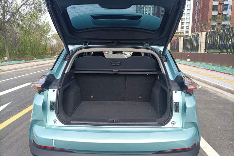 Used NETA U 2020 520 U-Create Trunk