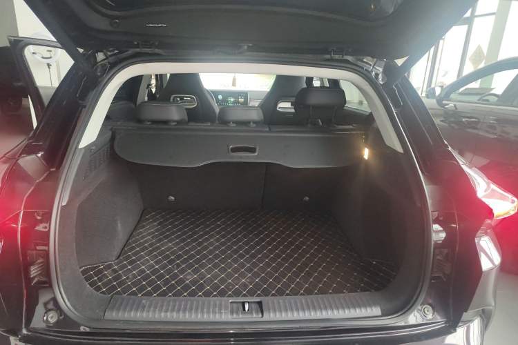 Used NETA U 2020 520 U-Create Trunk
