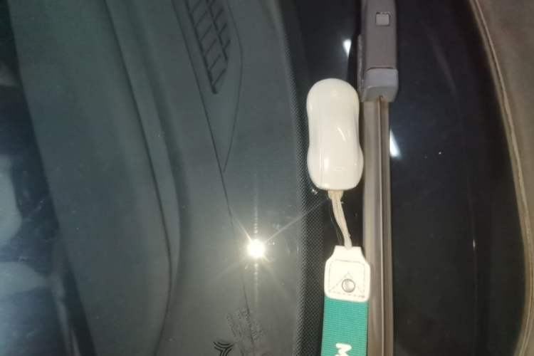 Used NETA U 2020 400 U-Shape Vehicle Key