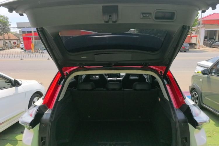 Used NETA U 2020 520 U-Create Trunk