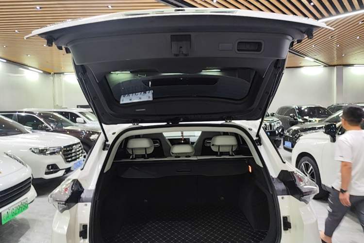 Used NETA U 2020 520 U-Create Trunk