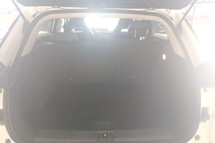 Used NETA U 2020 520 U-Shape Plus Trunk