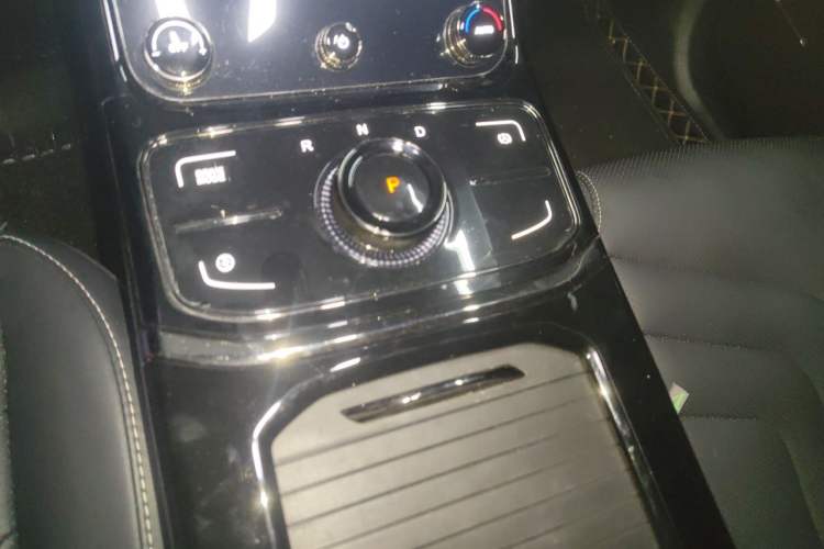 Used NETA U 2021 Pro 400 Cruiser Edition Gear Lever