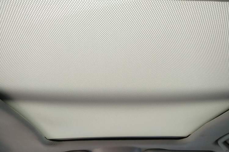 Used NETA U 2021 Pro 610 Industry Custom Edition Headliner