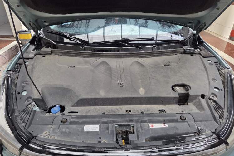 Used NETA U 2021 Pro 500 Lunar Edition Engine Bay