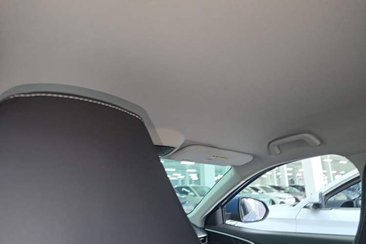 Used NETA U 2021 Pro 400 Cruiser Edition Headliner