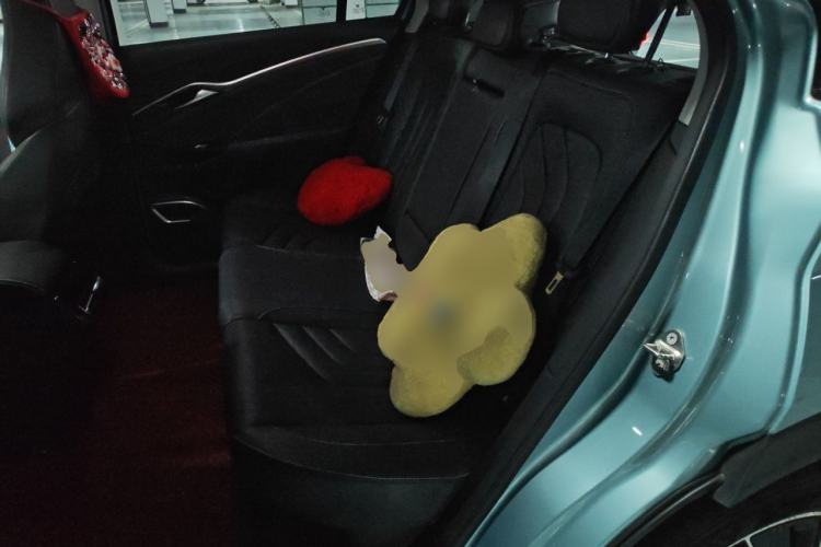 Used NETA U 2021 Pro 400 Cruiser Edition Left Rear Seat