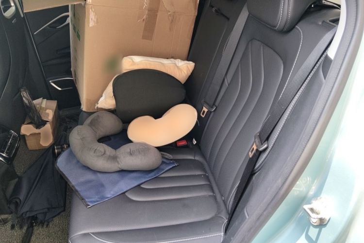 Used NETA U 2021 Pro 500 Global Edition Left Rear Seat