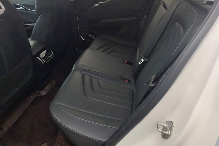 Used NETA U 2021 Pro 500 Lunar Edition Left Rear Seat