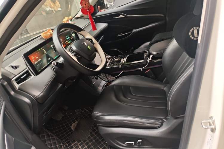 Used NETA U 2021 Pro 500 Lunar Edition Left Front Seat